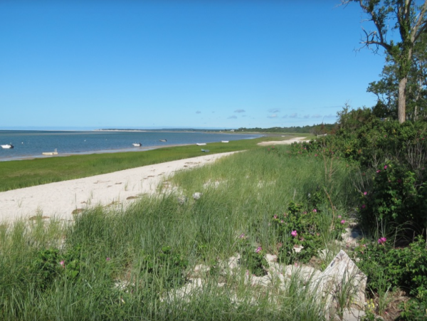 Stunning Barnstable Home Steps from the Beach - Perfect for Large Groups